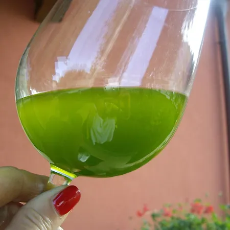 Bauernhof Il Borgo Degli Ulivi