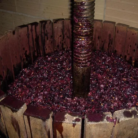 Il Borgo Degli Ulivi Roseto Degli Abruzzi