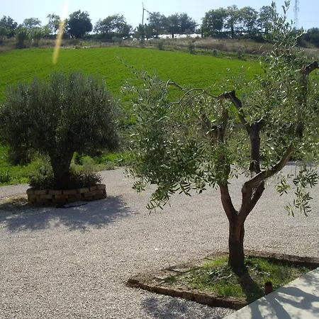 Bauernhof Il Borgo Degli Ulivi *