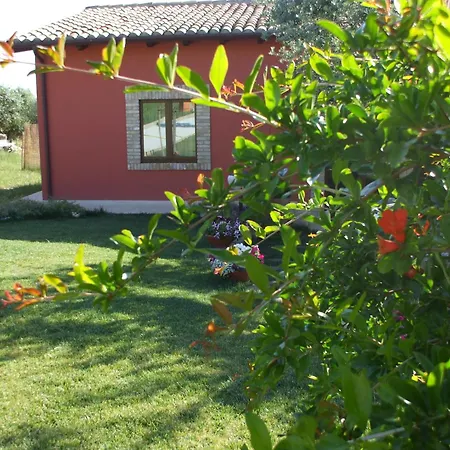 Il Borgo Degli Ulivi