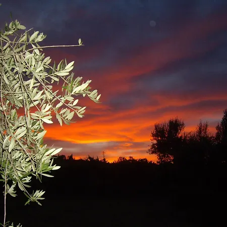Bauernhof Il Borgo Degli Ulivi Roseto Degli Abruzzi