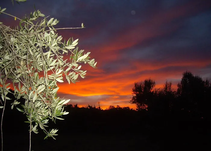 Farm stay Il Borgo Degli Ulivi Roseto Degli Abruzzi