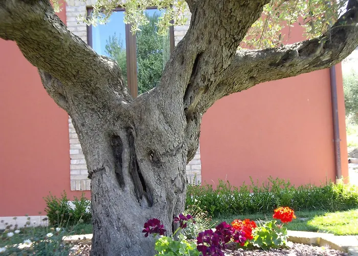 Il Borgo Degli Ulivi