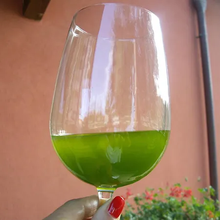 ファームステイ Il Borgo Degli Ulivi