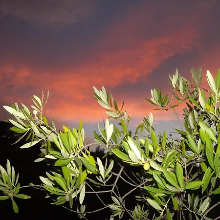 Κατάλυμα σε φάρμα Il Borgo Degli Ulivi Roseto Degli Abruzzi