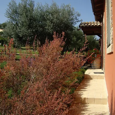 ファームステイ Il Borgo Degli Ulivi ロゼート・デッリ・アブルッツィ
