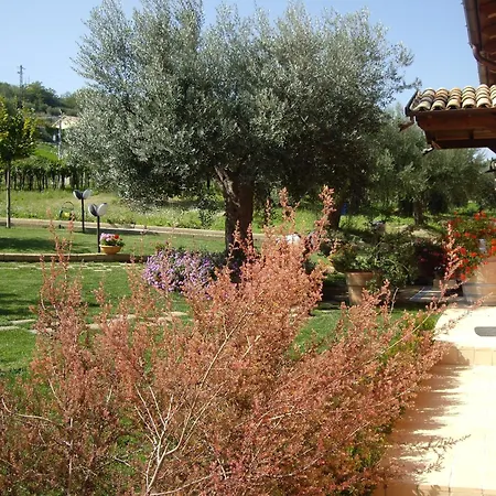 ファームステイ Il Borgo Degli Ulivi *