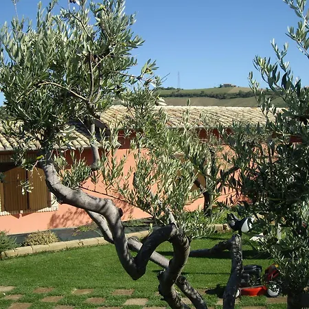Il Borgo Degli Ulivi ロゼート・デッリ・アブルッツィ