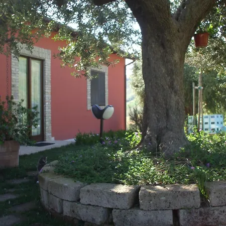 Il Borgo Degli Ulivi