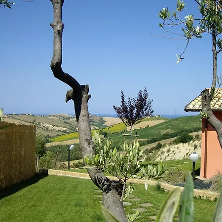 Il Borgo Degli Ulivi ロゼート・デッリ・アブルッツィ
