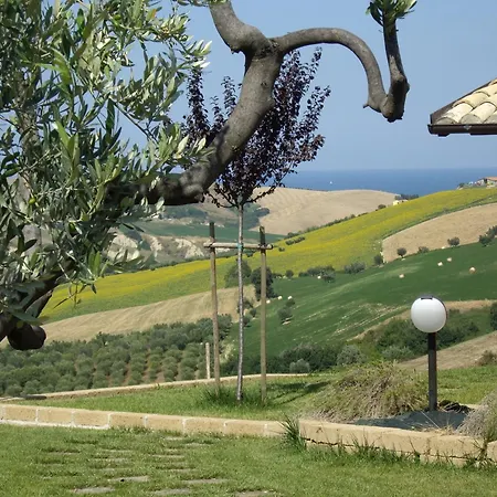 ファームステイ Il Borgo Degli Ulivi *