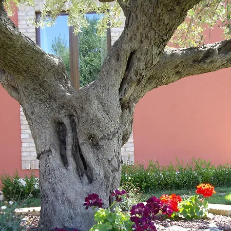 Il Borgo Degli Ulivi