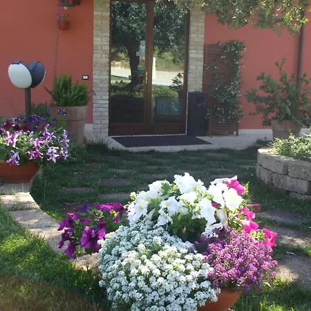 Il Borgo Degli Ulivi ロゼート・デッリ・アブルッツィ