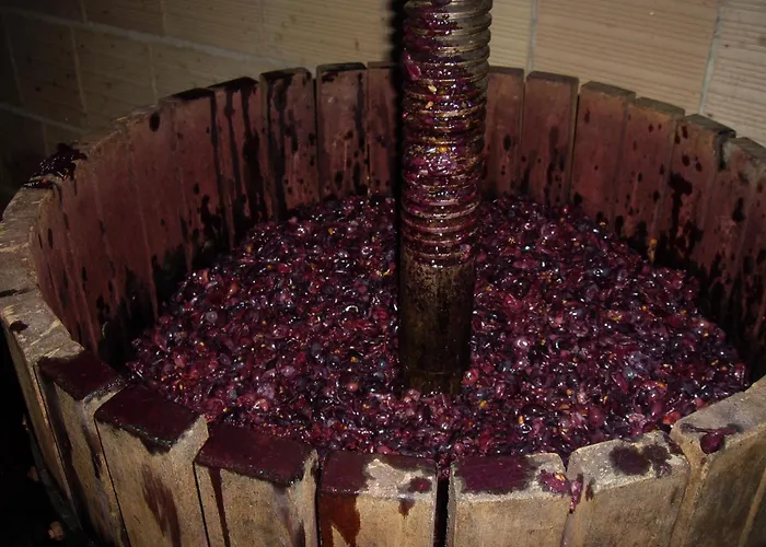 Il Borgo Degli Ulivi Roseto Degli Abruzzi