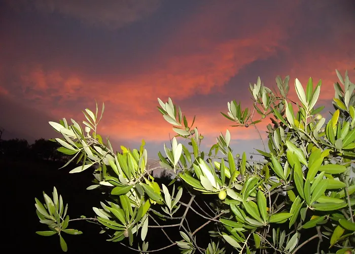Alloggio per agriturismo Il Borgo Degli Ulivi Roseto Degli Abruzzi
