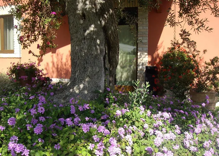 Il Borgo Degli Ulivi Roseto Degli Abruzzi