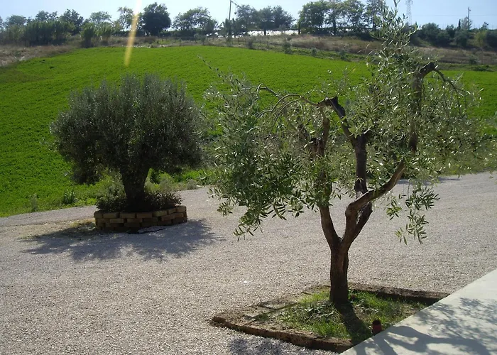 Alloggio per agriturismo Il Borgo Degli Ulivi *